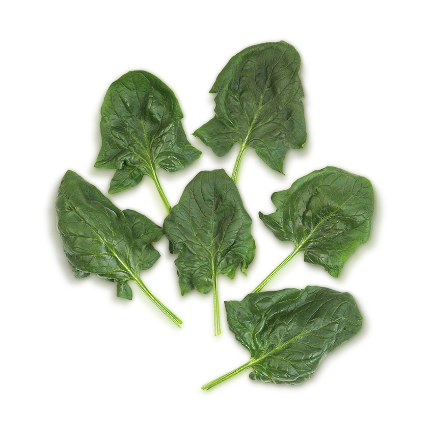 Ayıklanmış Taze Ispanak